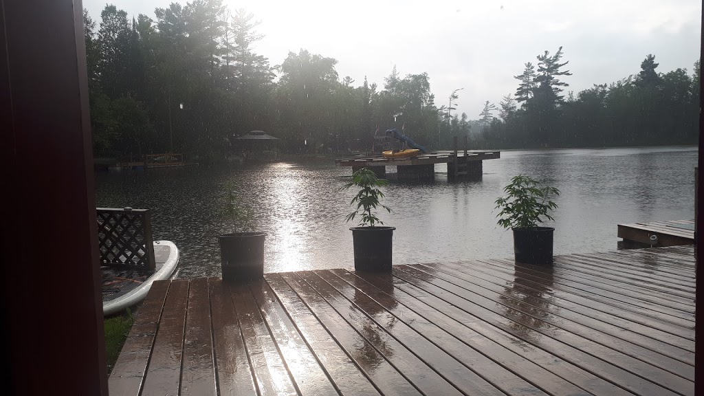 Blue Water Lakes Campground | 502141 Concession 10 NDR, Elmwood, ON N0G 1S0, Canada | Phone: (519) 369-5425