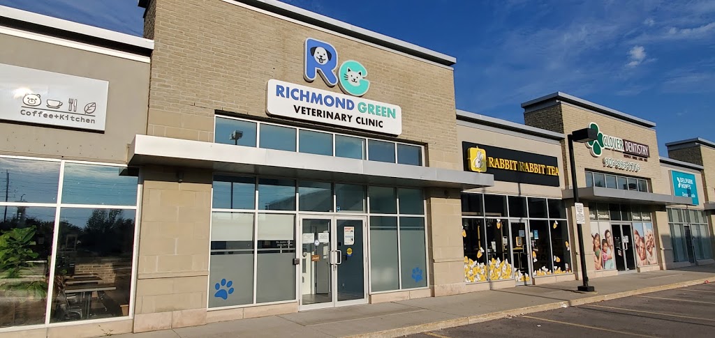 Richmond Green Veterinary Clinic | 10650 Leslie St Unit 3, Richmond Hill, ON L4S 0B9, Canada | Phone: (905) 787-9696