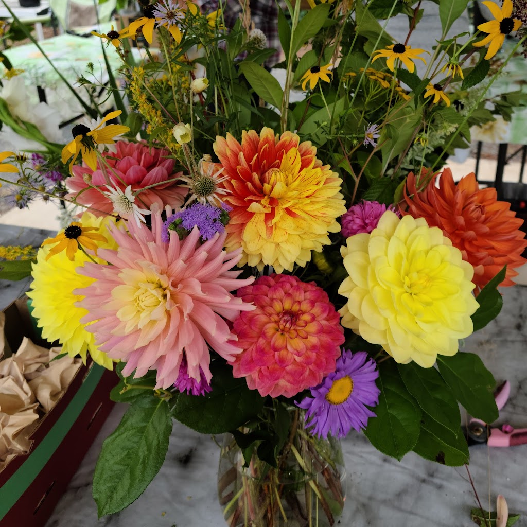 Warwick Dahlias | 1672 Constitution Rd, Black Creek, BC V9J 1G2, Canada | Phone: (250) 650-2128