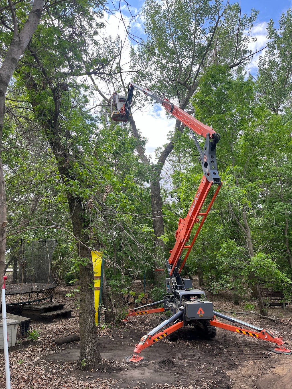 Fisher Hill Tree Company | 48075, Range Rd 194, Camrose, AB T4V 2N1, Canada | Phone: (780) 678-4909