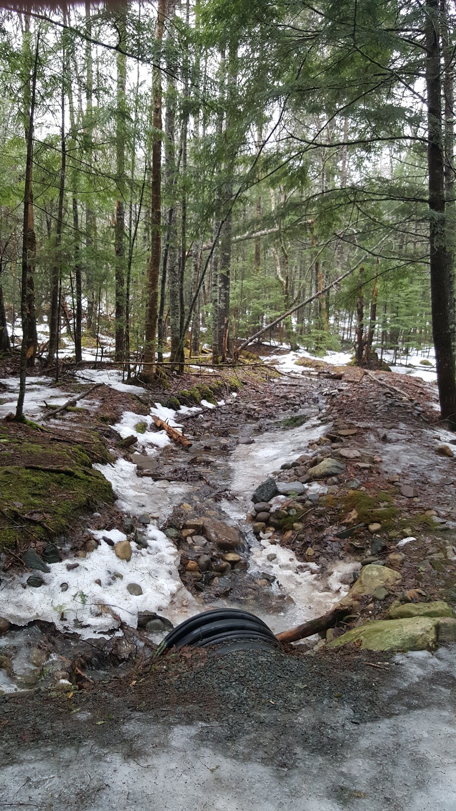 Sackville Lakes Provincial Park | 440 First Lake Dr, Lower Sackville, NS B4C 3L2, Canada | Phone: (888) 773-8888
