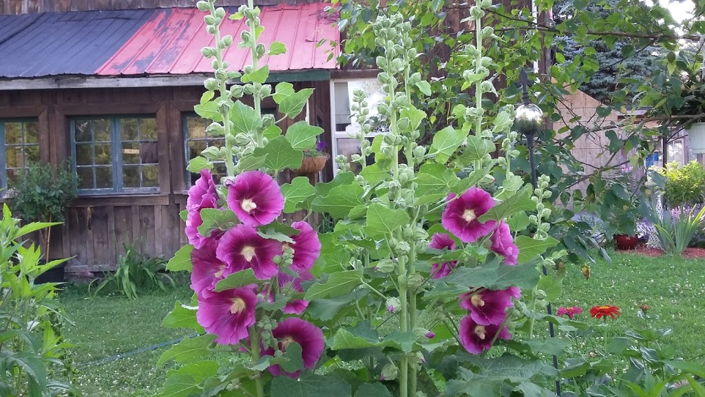 The Passionate Gardener | 1018 Southwood Rd, Severn Bridge, ON P0E 1N0, Canada | Phone: (705) 331-7850