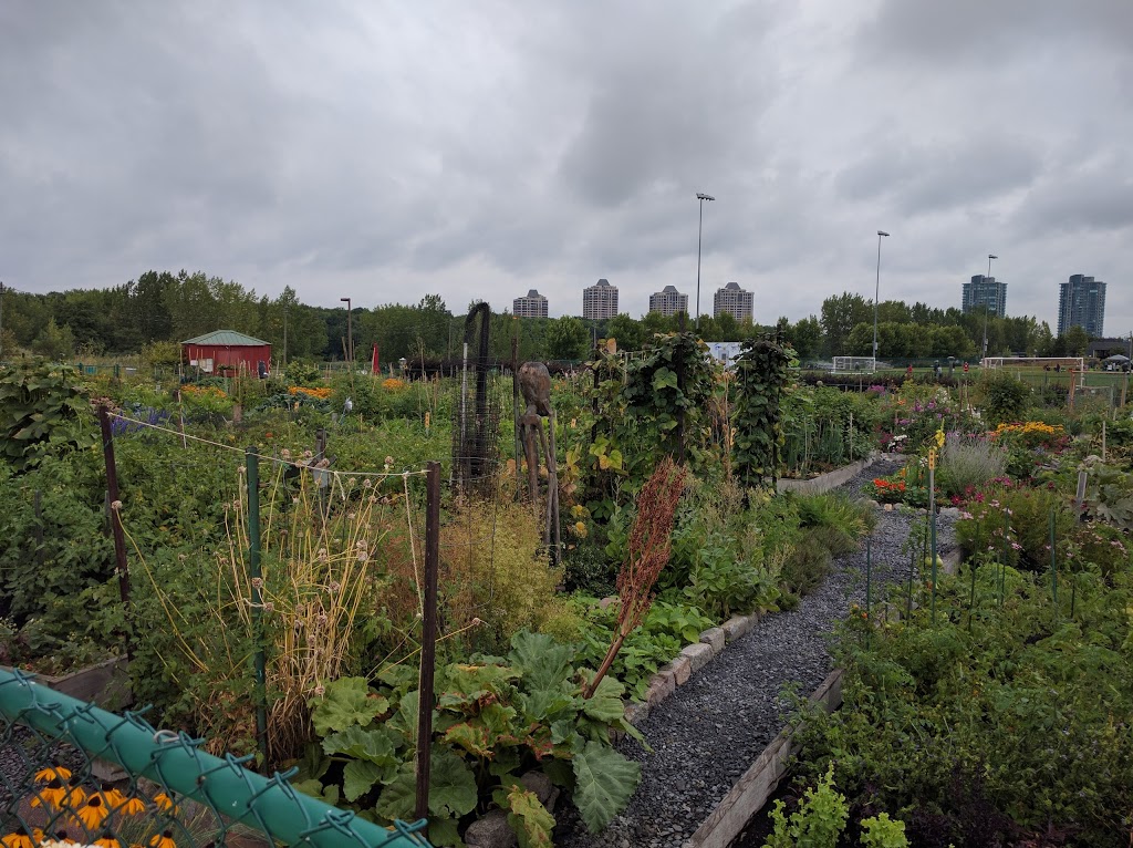 Local Community Gardens | 452 Chemin du Club Marin, Verdun, QC H3E 1V9, Canada | Phone: (514) 765-7270