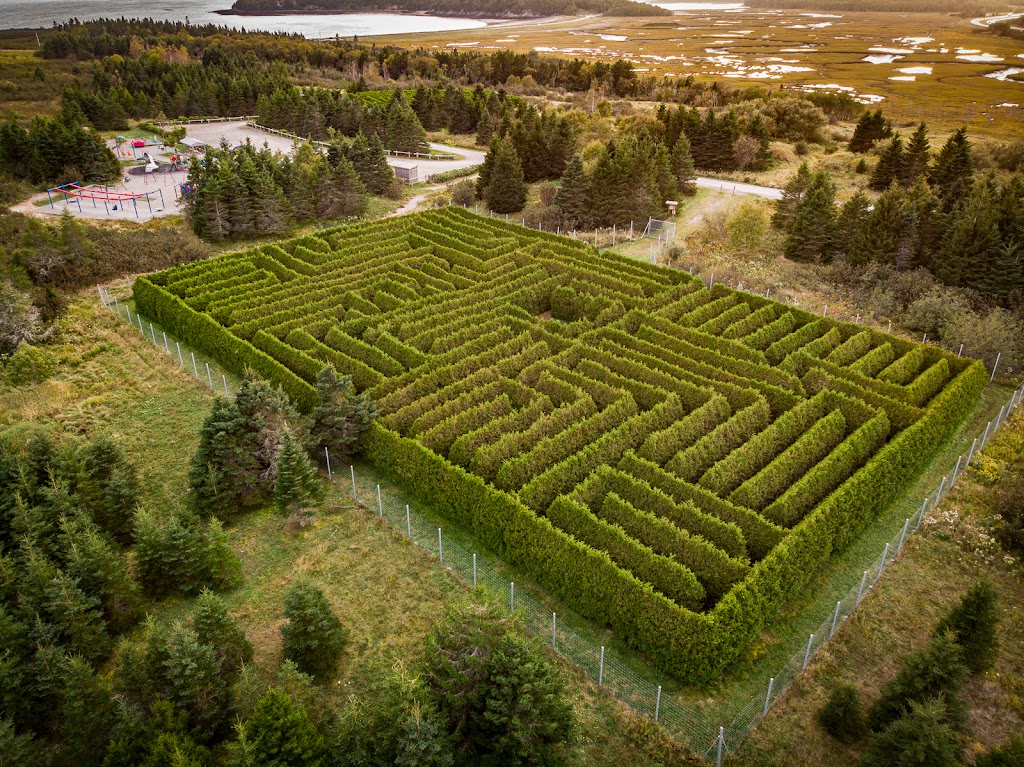 Irving Nature Park Barbecue Area | 1600 Sand Cove Rd, Saint John, NB E2M 4Z8, Canada | Phone: (506) 653-7367