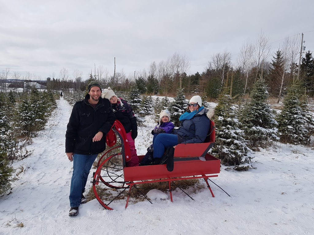 Kroes Christmas Tree Farm | 1903 Perth Line 43, Perth East, ON N3H 3Z5, Canada | Phone: (519) 276-7034