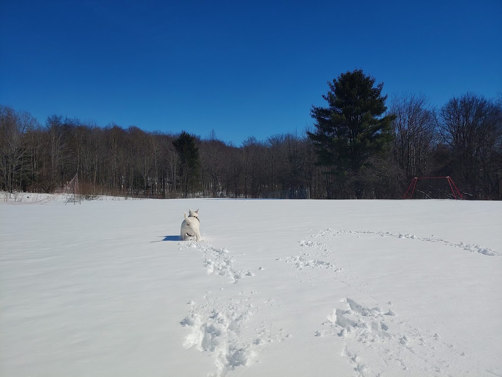 Walter Kummer Town Park | 8602 Park Street, Colden, NY 14033, USA | Phone: (716) 941-5012