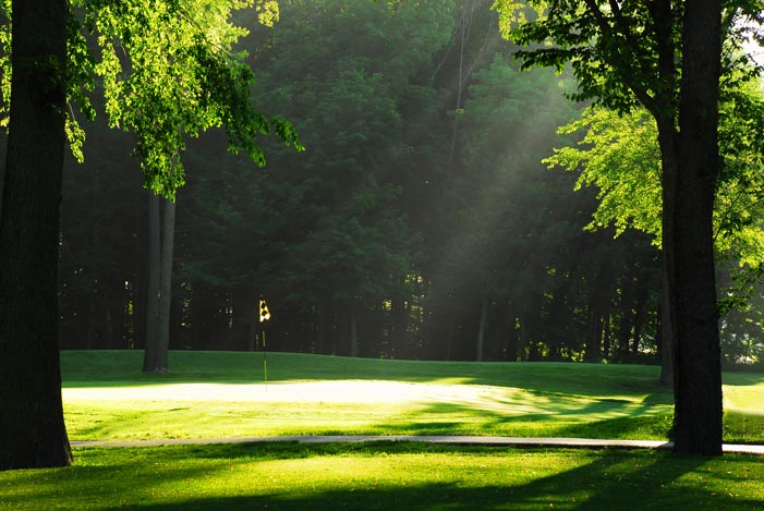 Burford Golf Links | 120 Golf Links Rd, Burford, ON N0E, Canada | Phone: (888) 833-8787