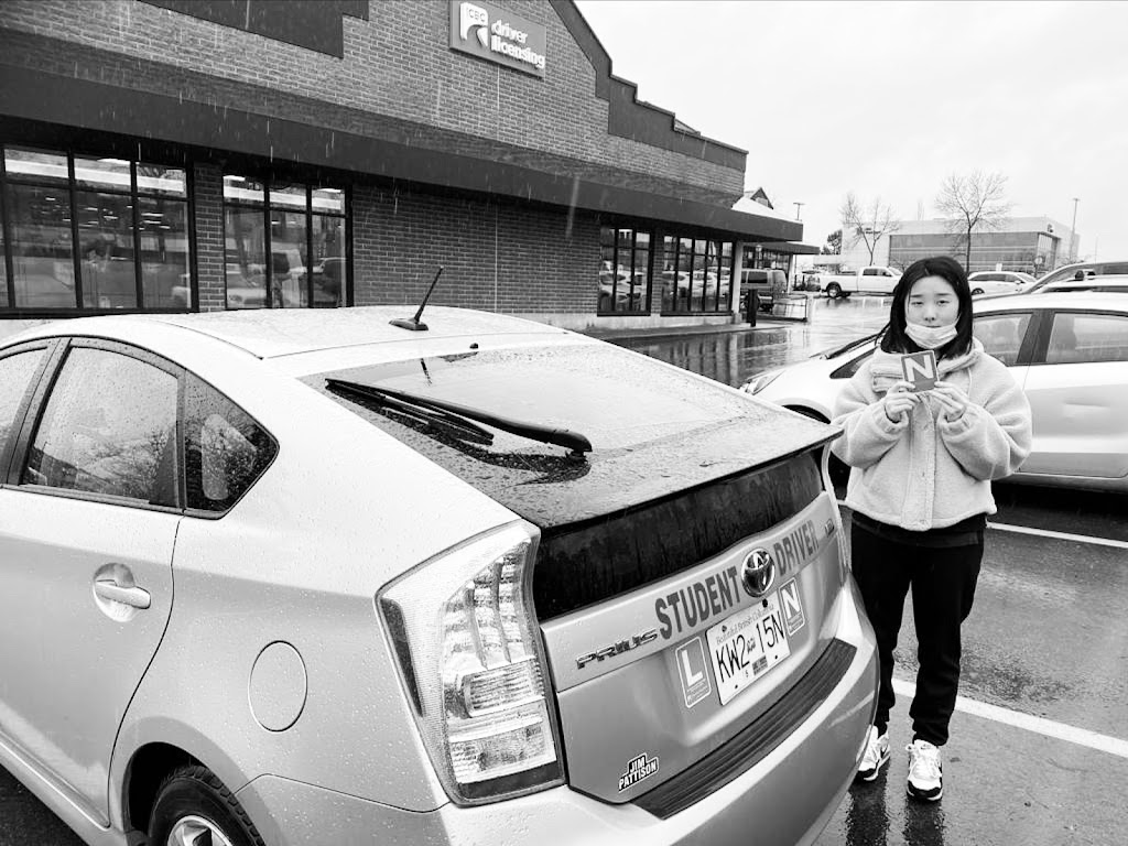 Happy Tails Driving School Ltd. | 27955 Fraser Hwy, Abbotsford, BC V4X 0A7, Canada | Phone: (778) 678-5464