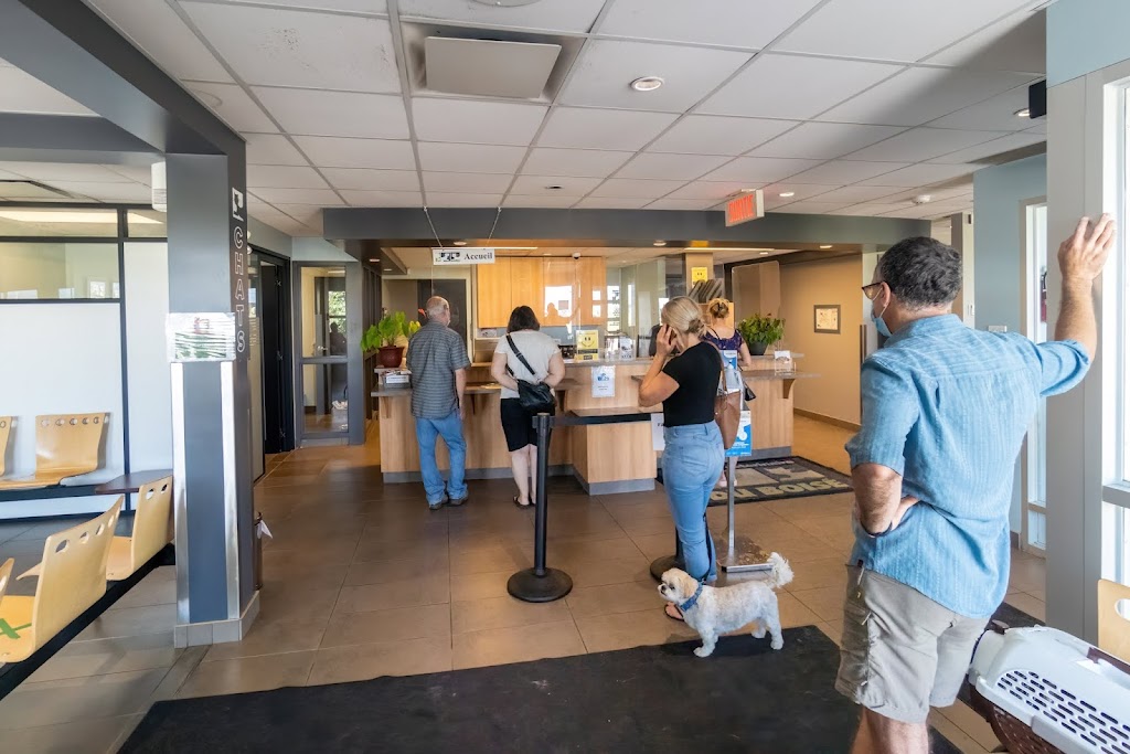 Veterinary Hospital Le Boisé | 270 Boul du Royaume E, Chicoutimi, QC G7H 0B9, Canada | Phone: (418) 696-1700