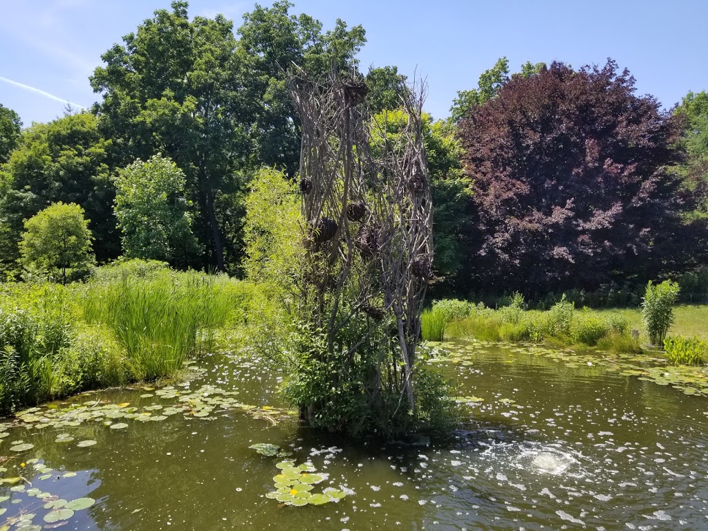 Royal Botanical Gardens - Hendrie Park | 680 Plains Rd W, Burlington, ON L7T 4H4, Canada | Phone: (905) 527-1158