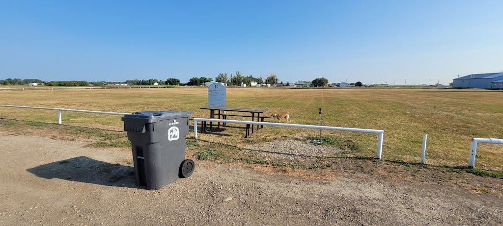Town of Raymond Drive-In | 53 W 500 N, Raymond, AB T0K 2S0, Canada | Phone: (403) 752-3322