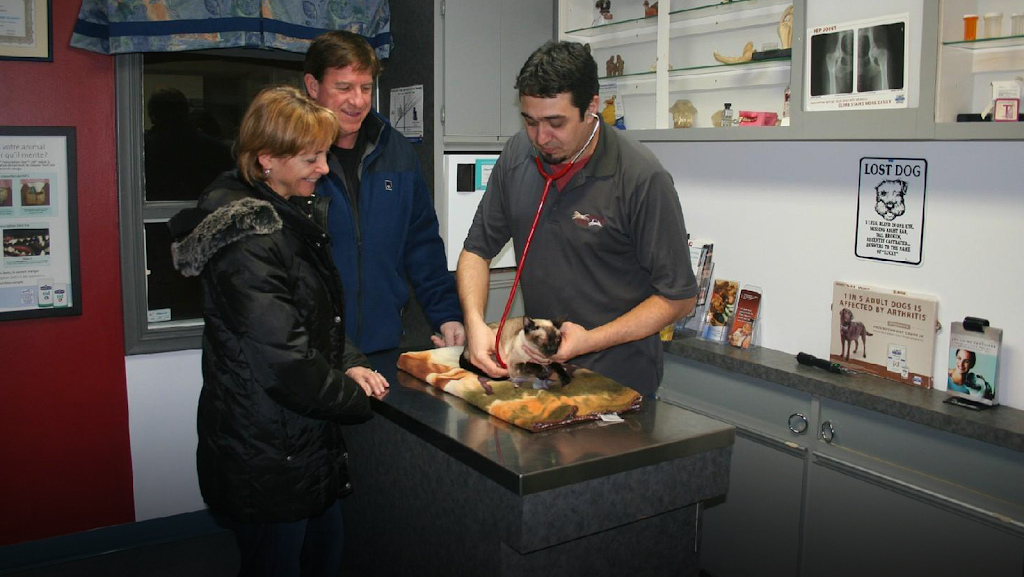 Cani-Felis Veterinary Hospital Inc | 5720 Grande Allée, Saint-Hubert, QC J3Y 2R6, Canada | Phone: (450) 656-2727