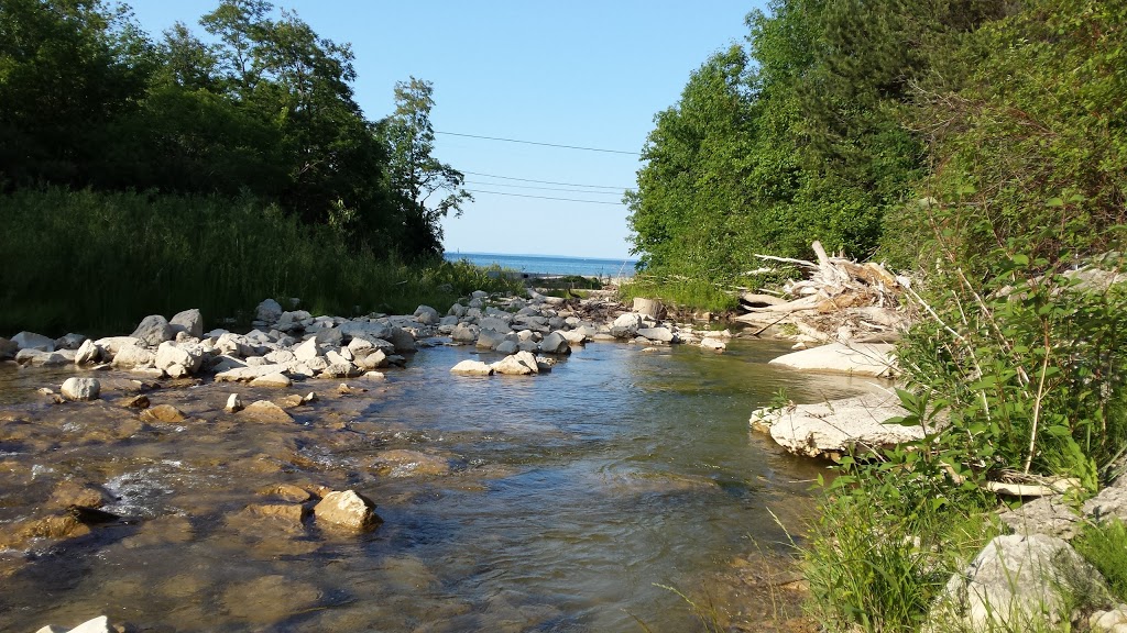 Ontario Fisheries Products | 22 Ronell Crescent, Collingwood, ON L9Y 4J7, Canada | Phone: (705) 444-7754