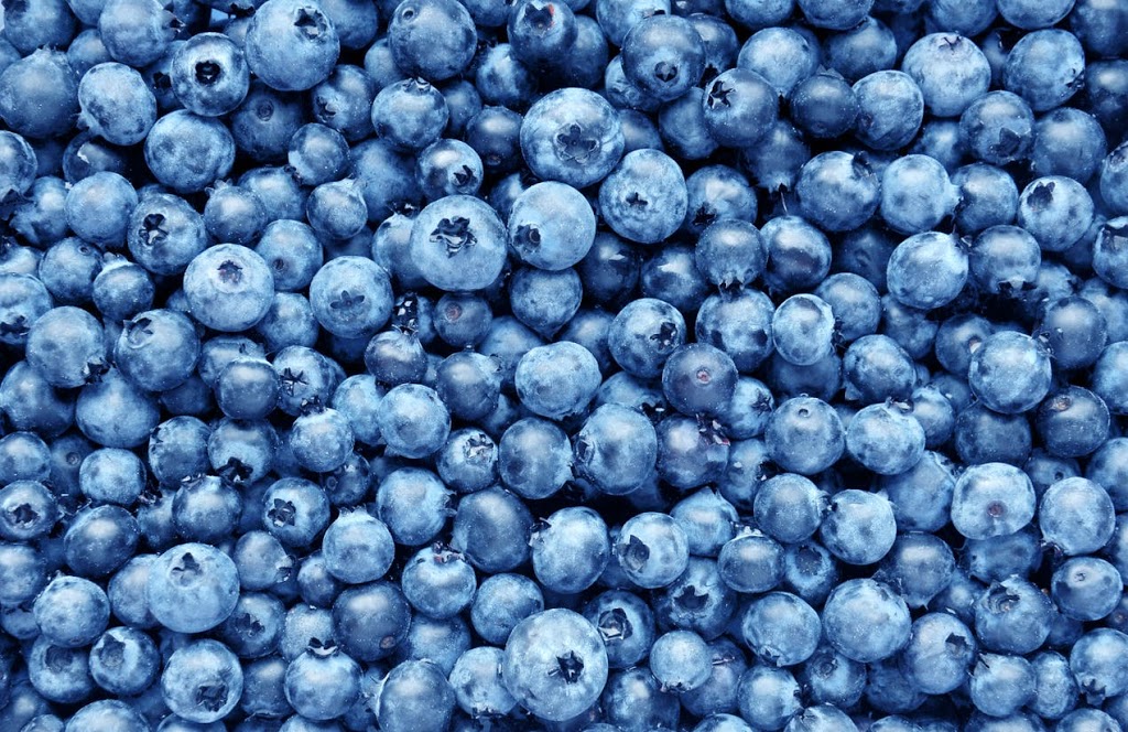 Matsqui Blue Farms | 34621 Hallert Rd, Abbotsford, BC V3G 1R3, Canada | Phone: (604) 859-8918