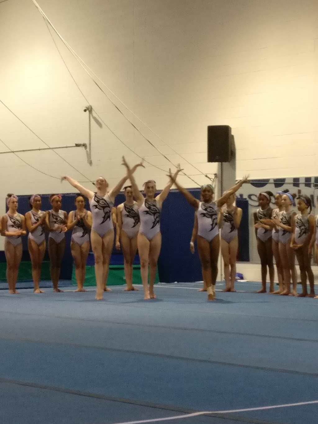 Milton Springers Gymnastics Club | 605 Santa Maria Blvd, Milton, ON L9T 6J5, Canada | Phone: (905) 878-5030