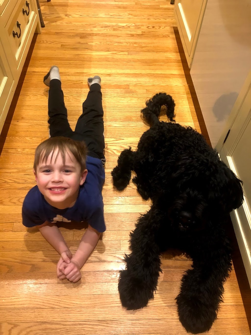 Claircreek Portuguese Water Dogs - Board and Train and other services | 7907 16 Line, Arthur, ON N0G 1A0, Canada | Phone: (519) 241-5353