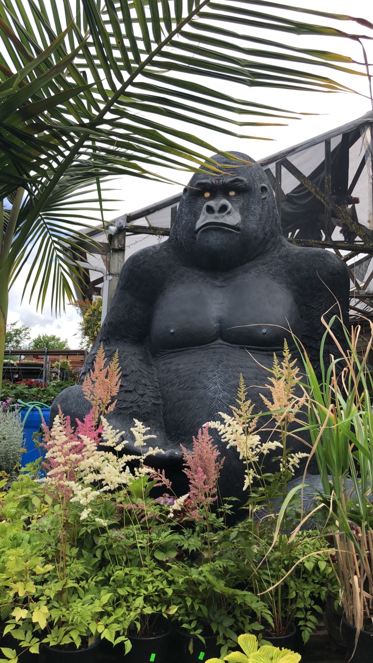 Sunrise Garden Ctr | 28563 Fraser Hwy, Abbotsford, BC V4X 1L1, Canada | Phone: (604) 856-6899