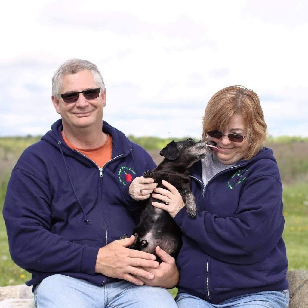 Over the Hill Farm | 1251 Crookston Rd, Madoc, ON K0K 2K0, Canada | Phone: (613) 847-0532