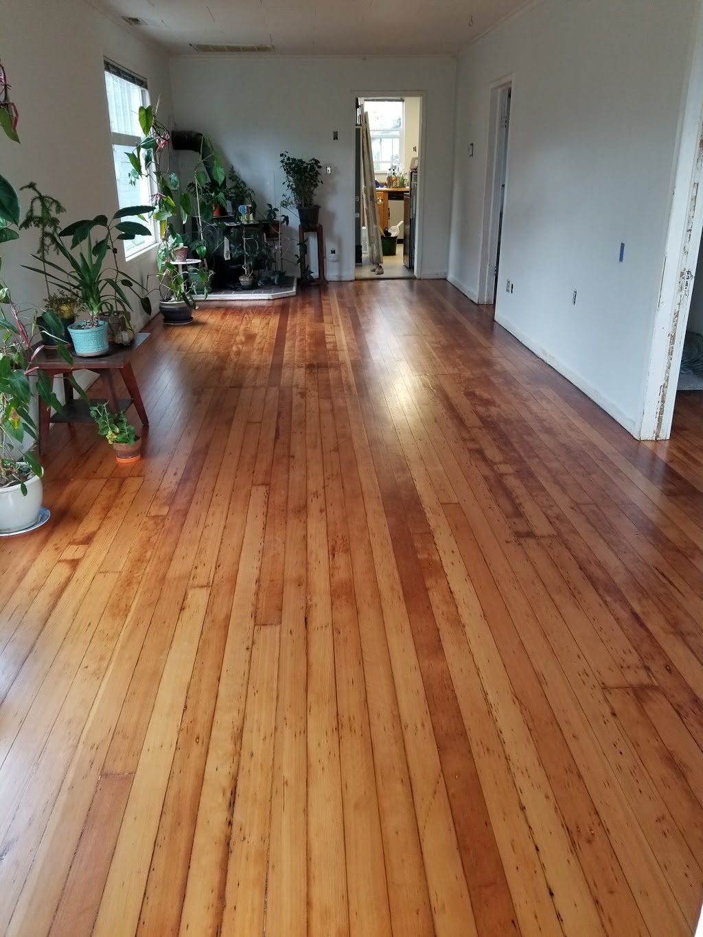Robinson Hardwood & Homes | 2100 Grant St, Bellingham, WA 98225, USA | Phone: (360) 671-9663