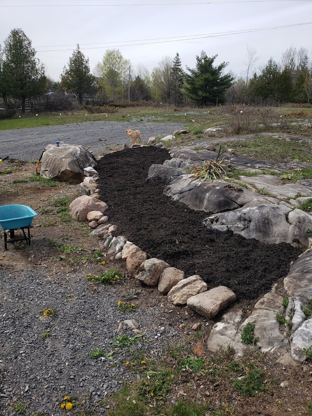 M.F Property Maintenance | 365 Galbraith Rd, Clayton, ON K0A 1P0, Canada | Phone: (613) 880-5262