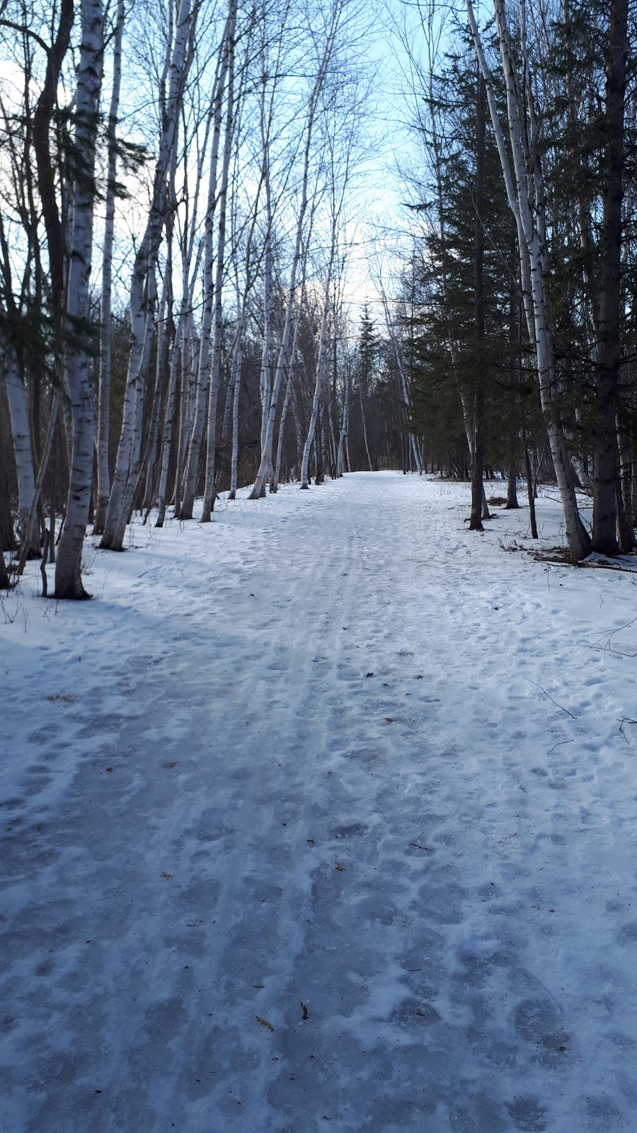 Lime Kiln Trail | Moodie Dr, Nepean, ON K2R 1H3, Canada