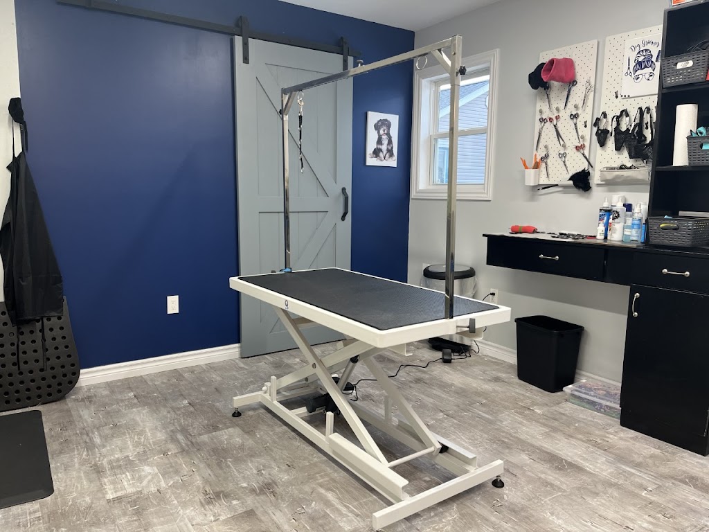 Doggy Styling | 161 Power Rd, Cardigan, PE C0A 1G0, Canada | Phone: (902) 326-8696