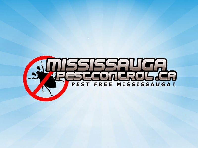 Mississauga Pest Control | 4712 Colombo Crescent, Mississauga, ON L5M 7R4, Canada | Phone: (416) 321-5060