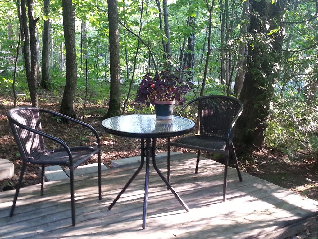 Gite Des Condors | 5 Chemin des Condors, Sainte-Anne-des-Lacs, QC J0R 1B0, Canada | Phone: (514) 245-9531