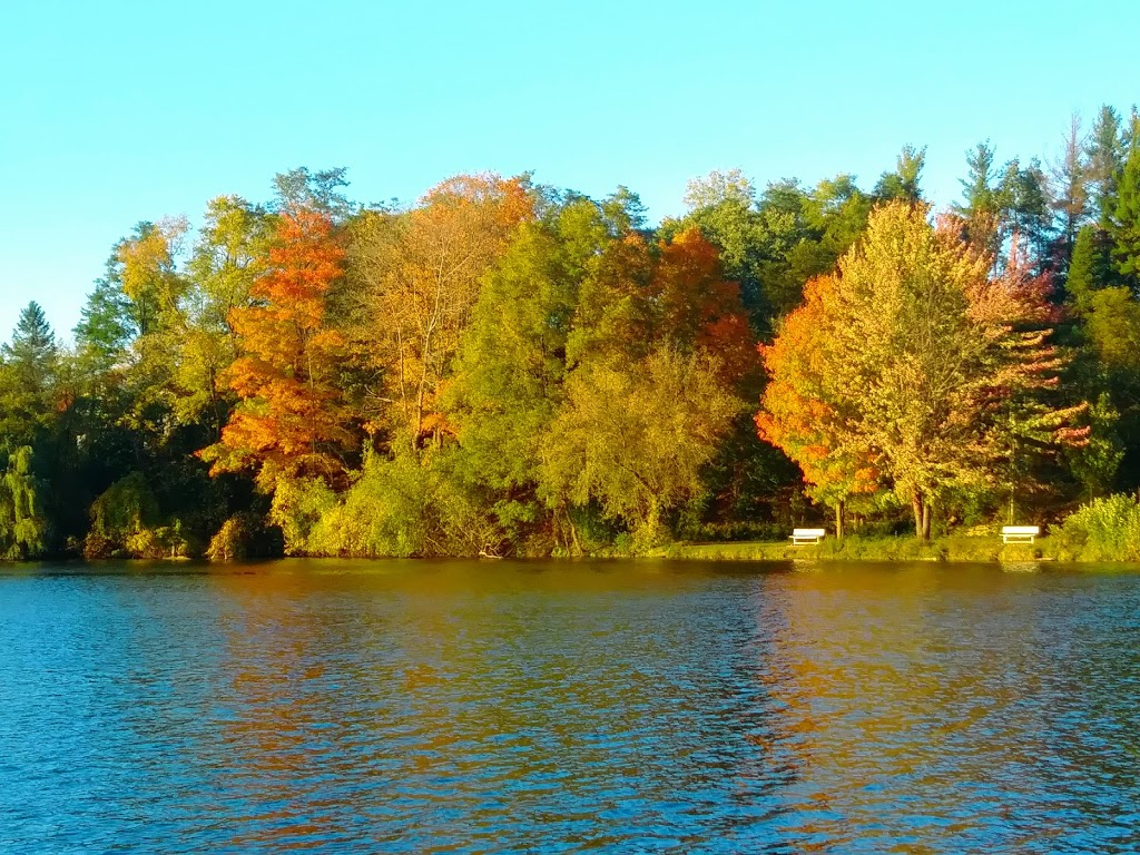 Optimist Park | 190 Main St, New Dundee, ON N0B 2E0, Canada