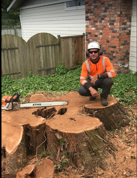 M.Mcconkey Arborist Services Ltd | 34976 Laburnum Ave, Abbotsford, BC V2S 5M7, Canada | Phone: (604) 597-2286