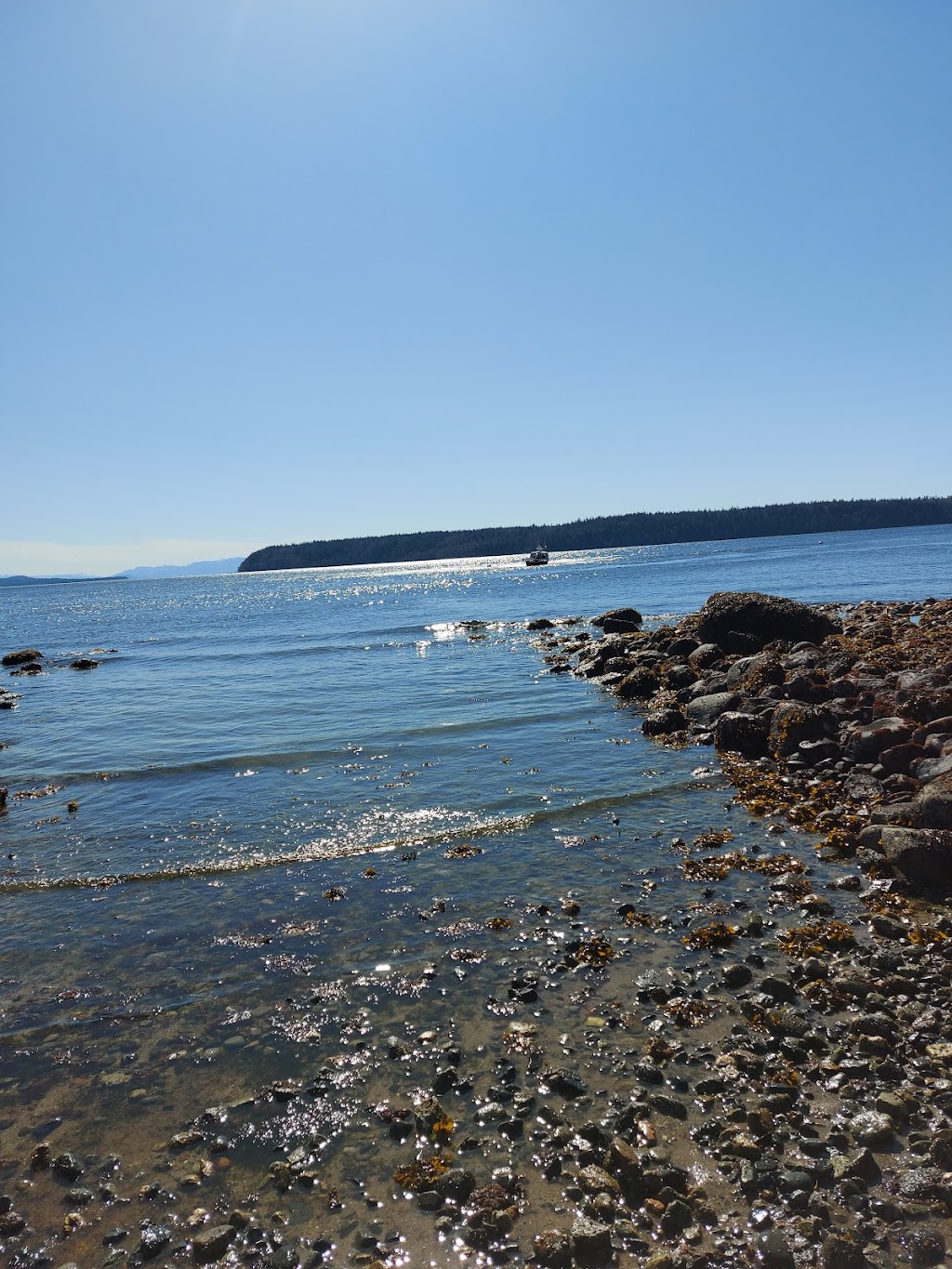 Profiles Inc Brad and Moe | 6589 Klahanie Dr, Powell River, BC V8A 0C1, Canada | Phone: (778) 338-8014