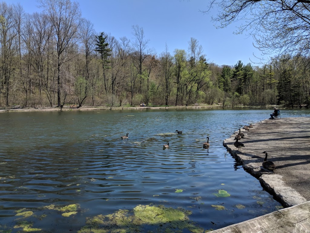Saint Johns Conservation Area | 3101 Barron Rd, Fonthill, ON L0S 1E6, Canada | Phone: (905) 788-3135