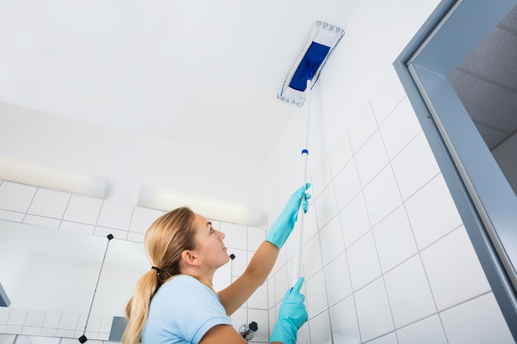 Oshawa House Cleaning Services | 1476 Oxford St, Oshawa, ON L1J 3X1, Canada | Phone: (289) 274-2448