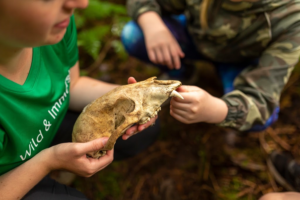 Wild & Immersive | 14500 Silver Valley Rd, Maple Ridge, BC V4R 2R3, Canada | Phone: (604) 463-8148