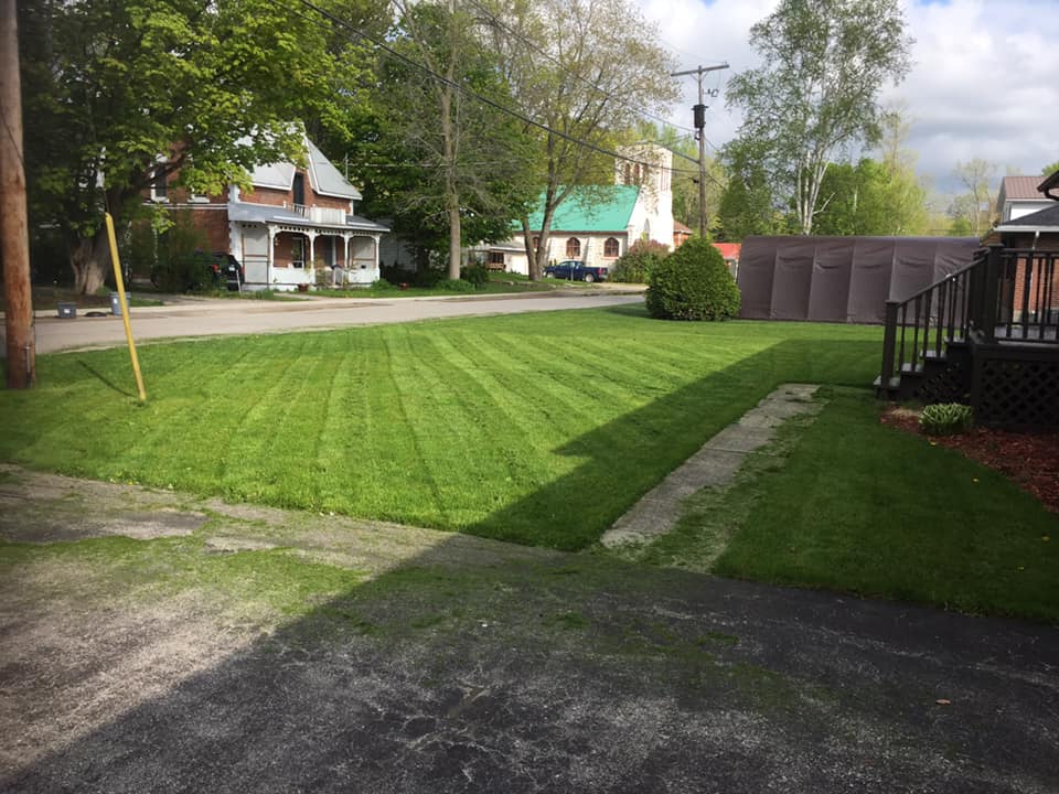 Seymours Lawn Care | Gill St, Coldwater, ON L0K 1E0, Canada | Phone: (705) 718-3426