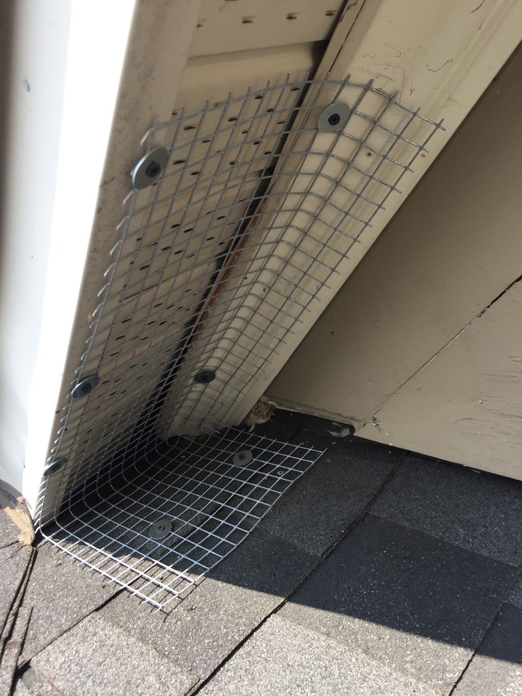 CBC Pest Control and Wildlife | 255-2375 Brimley Rd, Scarborough, ON M1S 3L6, Canada | Phone: (647) 802-8841