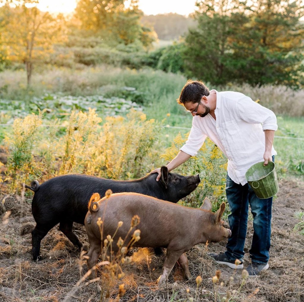 Littlejohn Farm | 908 County Rd 10, Picton, ON K0K 2T0, Canada | Phone: (647) 716-7737