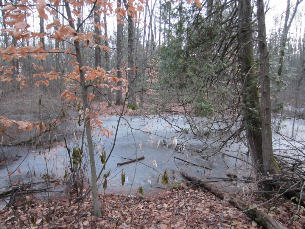 NCC Greenbelt P15 | NCC Trail 32E, Ottawa, ON K2G 3N3, Canada