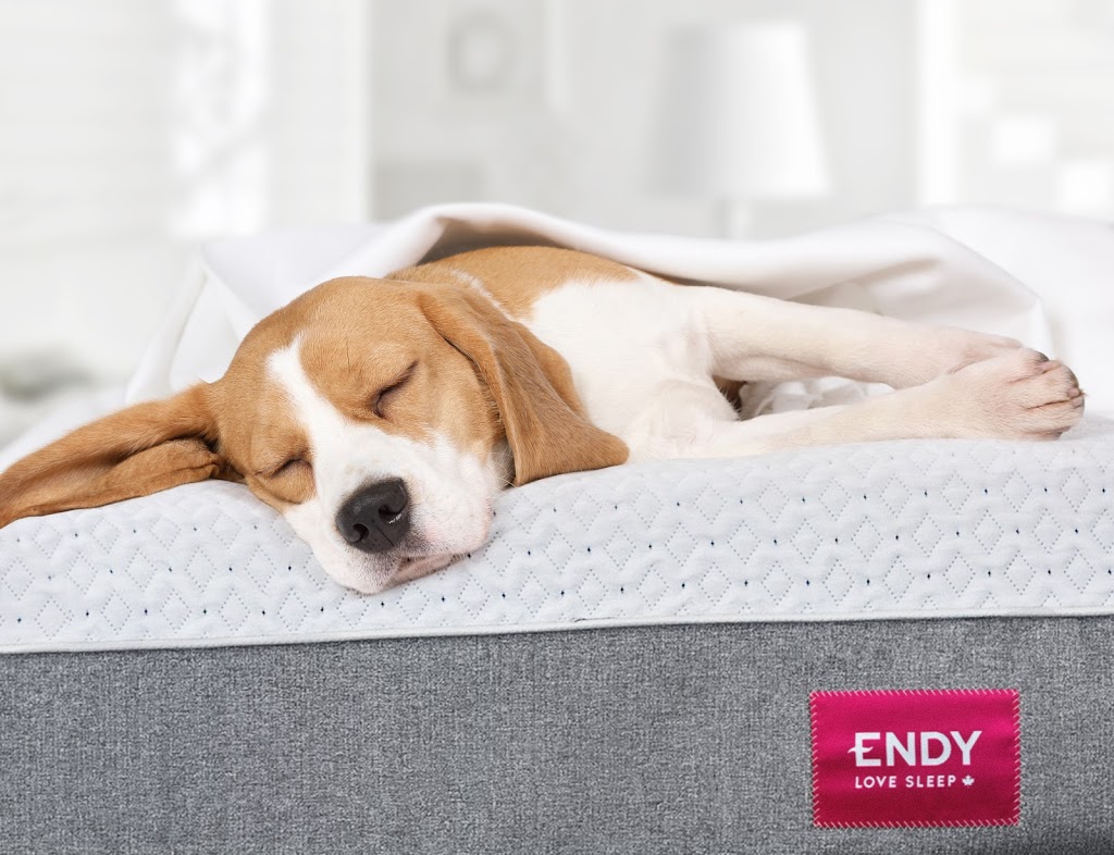 Endy | 28 Bathurst St Unit 1109, Toronto, ON M5V 0R4, Canada | Phone: (866) 304-3639