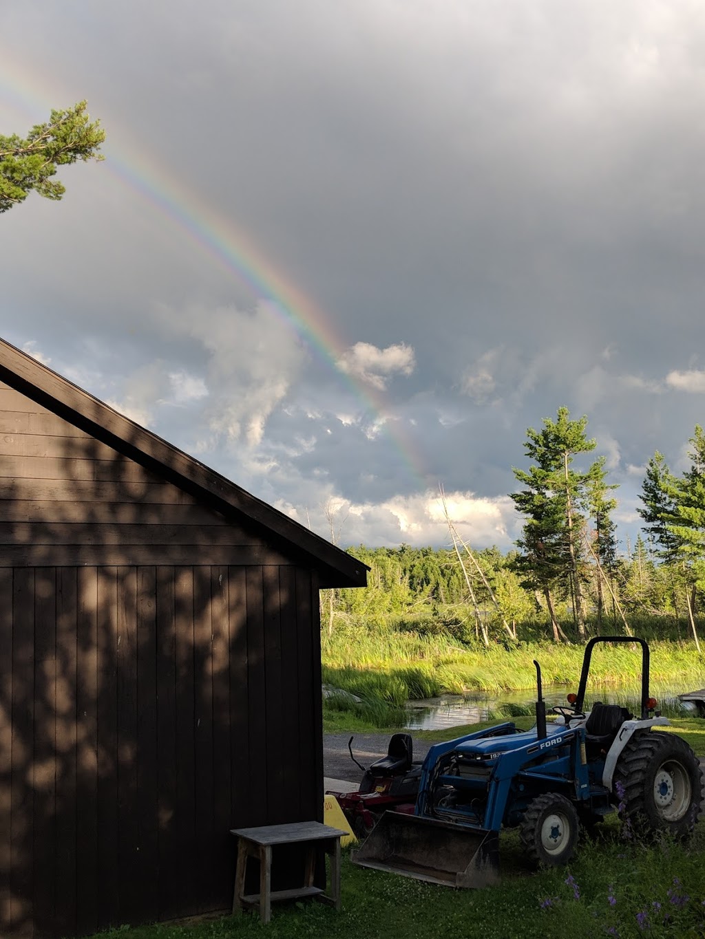 Pickerel Bay | 366 Pickeral Bay, White Lake, ON K0A 3L0, Canada | Phone: (613) 623-3344