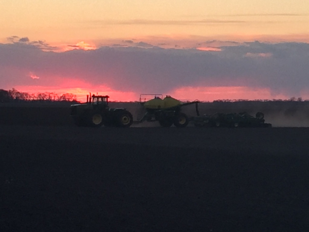 Walker Farms LTD. | 23070, RD 35N SE-30-6-4W, Carman, MB R0G 0J0, Canada | Phone: (204) 750-1841