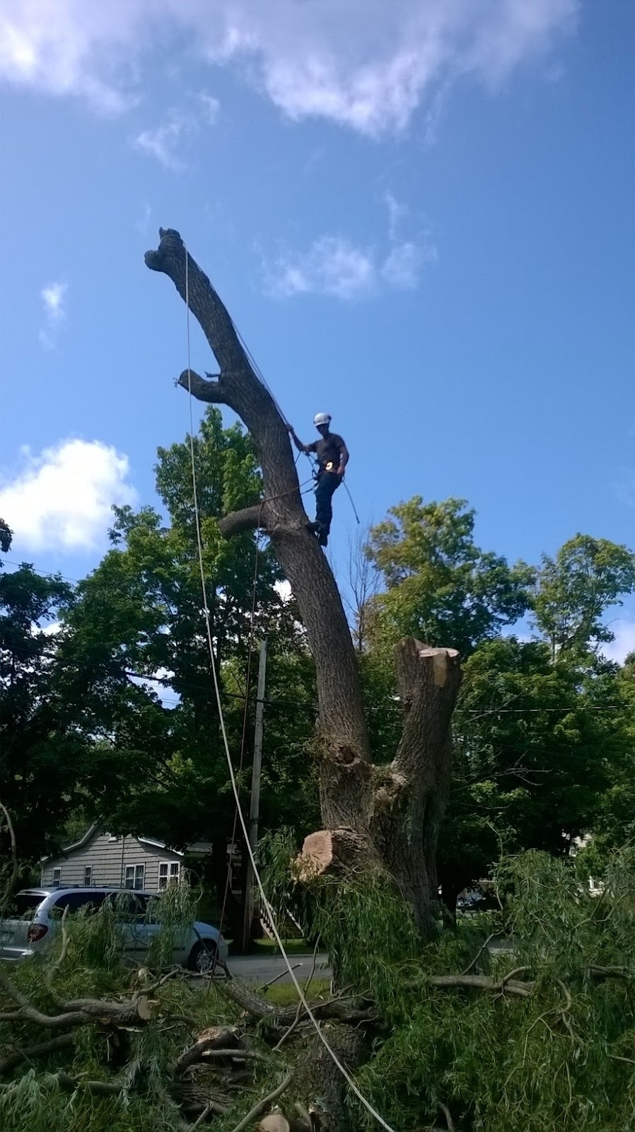 Ground to Crown Tree Services | 4537 Prospect Rd, Kentville, NS B4N 3V8, Canada | Phone: (902) 679-8733