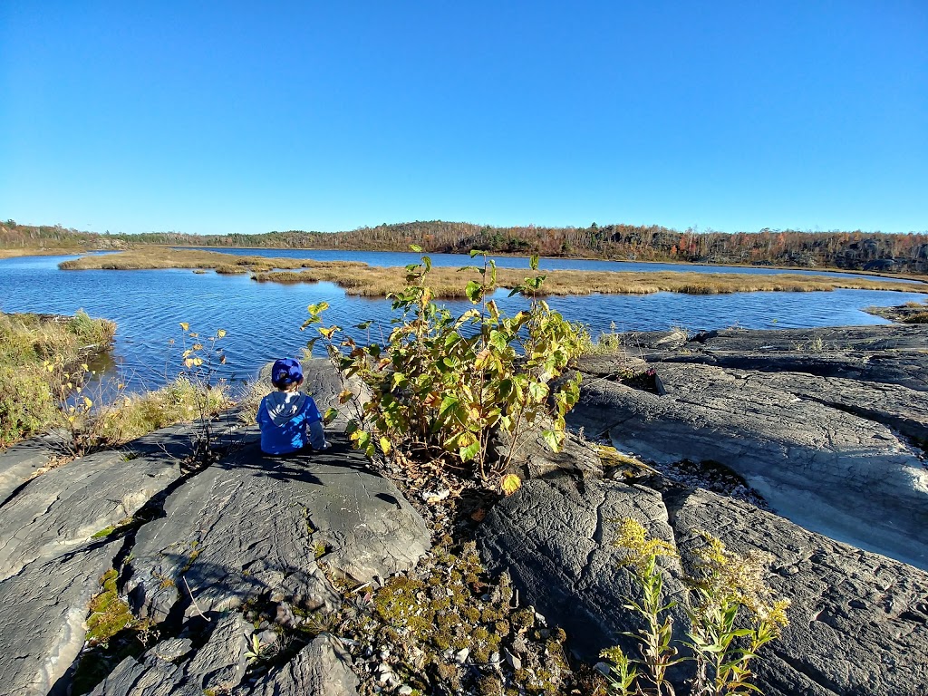 Loachs Walking Trail | Loachs Ext, Sudbury, ON P3E 5R8, Canada