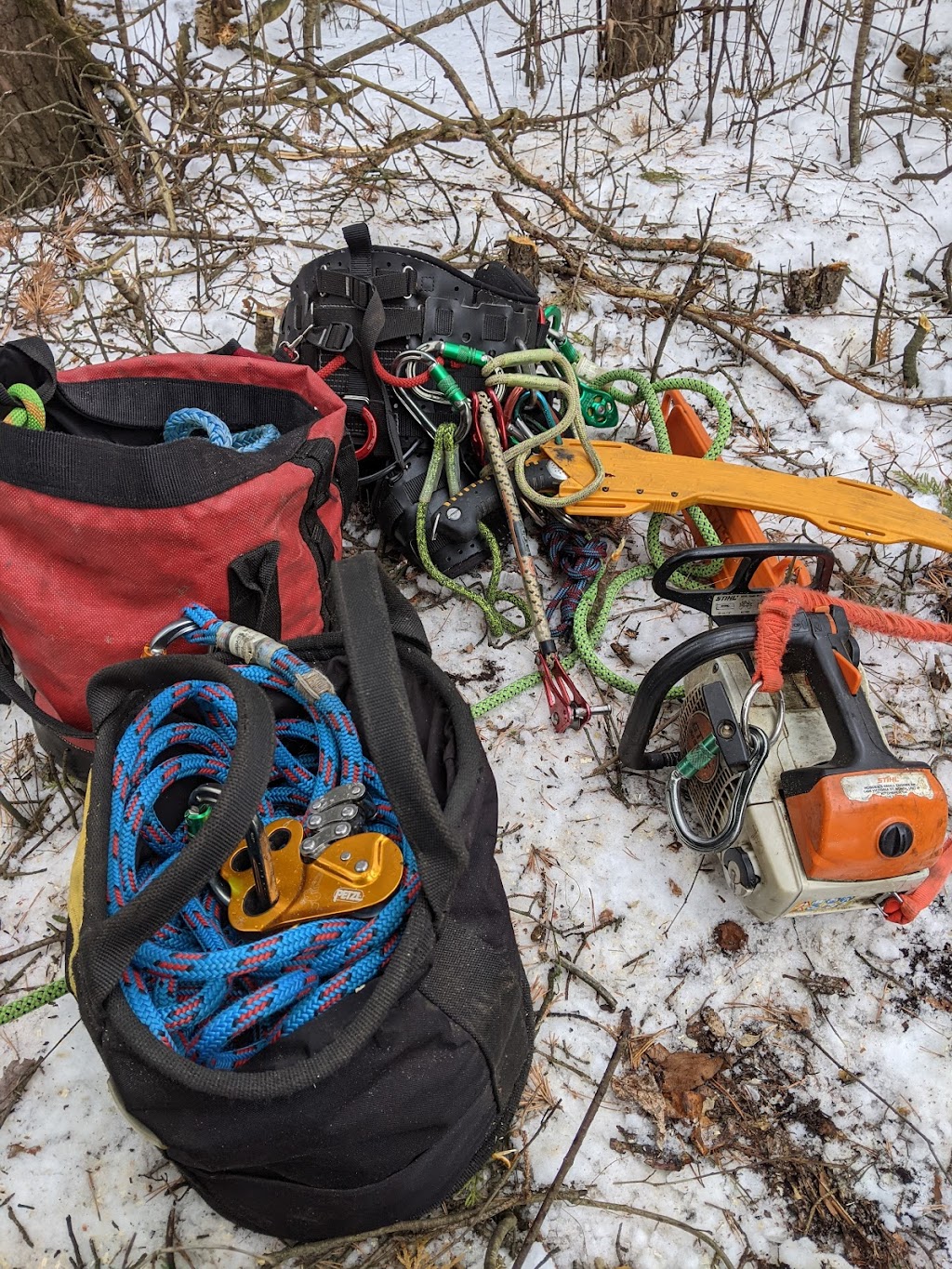 Ascents Tree Service | 8914 Adjala 10 Sideroad, Palgrave, ON L0N 1P0, Canada | Phone: (226) 500-5206
