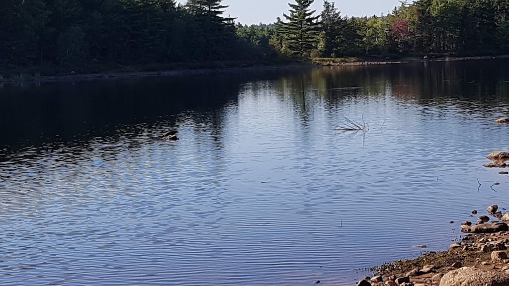 Falls Lake Provincial Park | Currys Corner, NS B0N 2T0, Canada