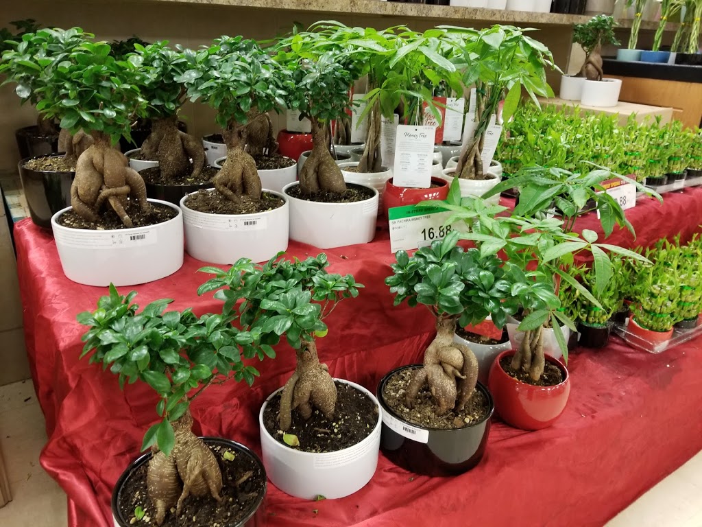 T&T Supermarket | 9450 137 Ave NW #158, Edmonton, AB T5E 6C2, Canada | Phone: (780) 409-8686