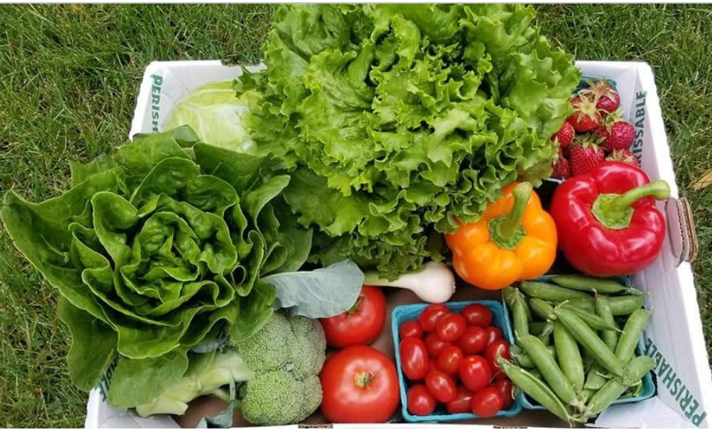 Little Bee Farmers Market | 1077 Britannia Rd E, Mississauga, ON L4W 3X1, Canada | Phone: (416) 738-6728