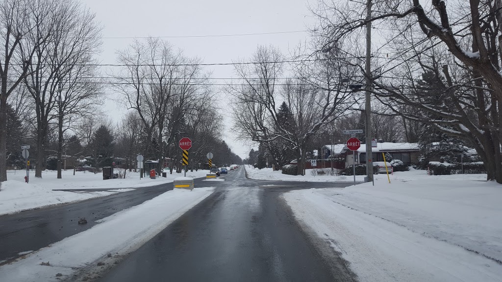 Parc des Bouleaux | 1680 Rue du Parc, Saint-Bruno-de-Montarville, QC J3V 4L9, Canada