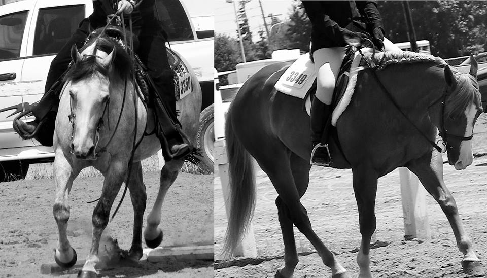 Equestrian Center & Services Équestres Lhéritage | 2740 Rang du Haut de la Rivière, Sainte-Élisabeth, QC J0K 2J0, Canada | Phone: (450) 365-7361