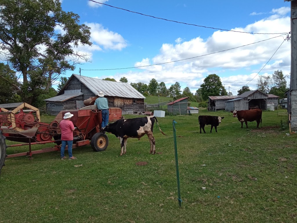 Robinson Family Farms | 59 Robinson Rd, Madoc, ON K0K, Canada | Phone: (613) 473-2678